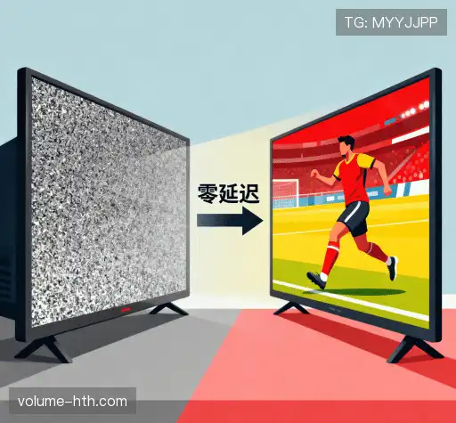 我们的关键优势